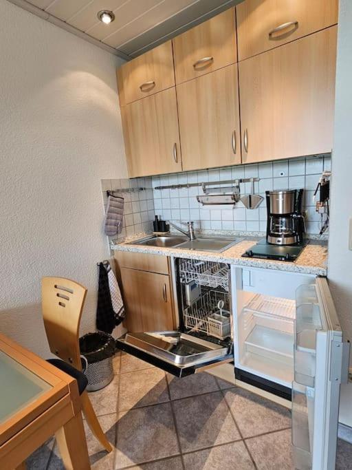 A&E Apartment Am Sorpesee Langscheid  Exterior photo